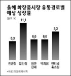 화장품업계 할인점 고객 잡아라