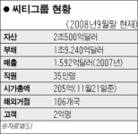 미국, 씨티에 구제금융 한달도 안돼 또… 대마불사 확인