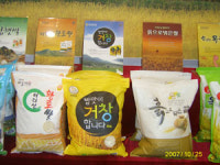 [BIZ 플러스 영남] 산지유통 활성화등 농민 실익증진 온힘