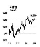 [전문가추천주] 포휴먼(049690)