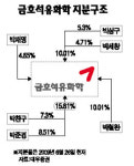 그룹 중심축 부상 금호석화株 급락