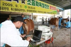 [BIZ 플러스 영남] 출품 한우 22두 모두 1등급