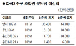 재건축 매도·매수자 고민 깊어진다