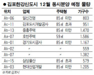 김포한강  내달 1만가구 동시분양
