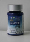 [2009 서경 베스트 히트 상품] 에코에프앤비 코비그린