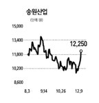 [전문가 추천주] 송원산업 (004430)