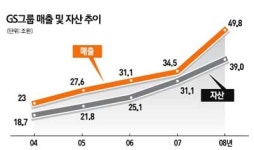 [세계가 주목하는 한국형 Owner Way] 세계 최고의 지주회사 만든다