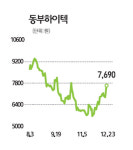 재무리스크 완화 동부하이텍 이틀연속 급등