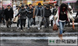 도로야 논바닥이야