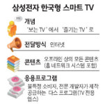 한국형 스마트TV로 시장 주도