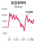정부 지원책 발표에 녹색株 급등