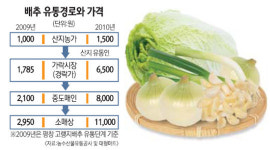 [뉴스포커스] 배추 등 채소값 파동… 대책 없나