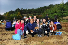 울산 현대학원의 고구마수확제