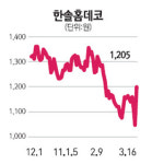 탄소배출권株도 초강세