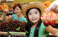 당도 뛰어난 워싱턴 체리