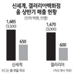 쿠론신세계충청 | 신세계百-갤러리아百, 충청 상권 주도권 경쟁