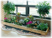 자연을 입힌 친환경 건자재 인기