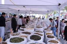 한약장수축제서 100세장수 비법 확인하세요