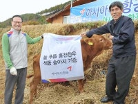 아시아나, 홍천에 색동송아지 전달