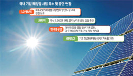 각광받던 국내 태양광 왜 휘청거리나