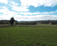 800여㎞ 카미노… 카테드랄에서 나를 묻다