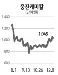 [전문가 추천주] 웅진케미칼(008000)