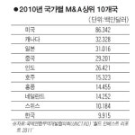 [뉴스 포커스] 지구촌 곳곳에 M&A 코리아