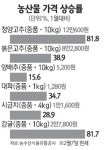 [물가당국 두 얼굴… 국내업체 몰아치고] 2월 한파에 농산물값 폭등