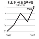 글로벌 기업들 블루오션 印尼잡자