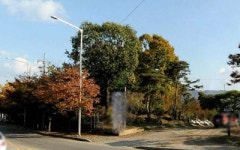 [추천 알짜물건] 포천시 토지 2,140㎡ 13억원 外