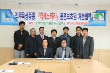 농업회사법인 주식회사 느타리명가 | 경기도농업기술원, 느타리신품종 '흑백느타리' 확대 보급