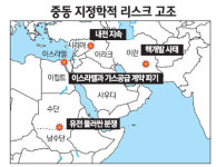 중동 지정학적 리스크 고조