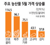 [국내 경기 긴급진단] 배춧값 2배 껑충… 신선식품 가격 고공비행