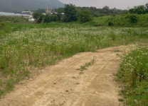 [추천 알짜물건] 수원 화서동 434㎡ 단독주택 8억 外