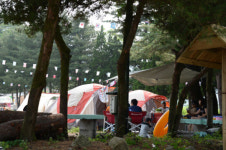 찜통 더위라구요? 여긴 무릉도원이죠