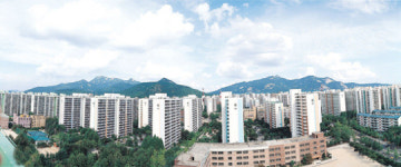 경매로 집 마련해 볼까