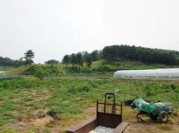 [추천 알짜물건] 포천 자작동 8,000㎡ 토지 16억 外