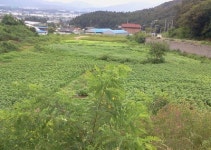 [추천 알짜물건] 포천 자작동 8,000㎡ 토지 16억원 外