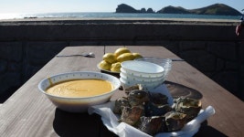 외길따라 한걸음 한걸음 놀멍 쉬멍 가을 속으로