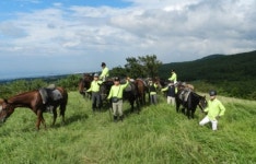푸르른 가을 하늘 산길·들길 누비며… 馬 달리자