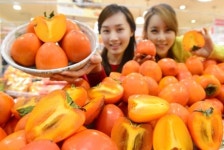 감의 왕 대봉시 맛보세요