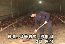 [SEN 하이라이트] 한약 먹인 고품질 닭 생산하는 조아라 농장 外
