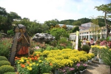 산림욕 즐기며 허브향에 흠뻑… 초록에서 쉼을 찾다