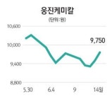 웅진케미칼 매각 기대… 이틀째 껑충