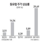 동유럽으로 글로벌 자금 러시