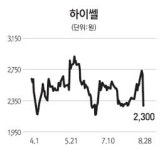 11분기만에 흑자전환 하이쎌… 시설 확대 위해 169억 유상증자