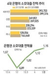 넘쳐나는 소호대출 부실 블랙홀 되나