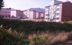 [추천 알짜물건] 논현동 다가구 14억원 外