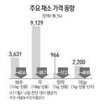 대풍청과아이스크림 | 대풍에 역풍… 농산물값 줄줄이 하락