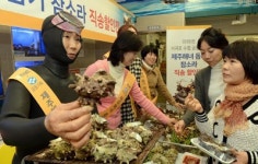 제주 농어민 깊은 주름살